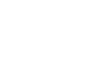 logo Steven David